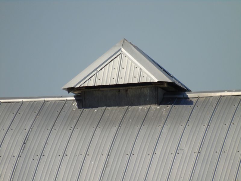 Tin Roof Installation in Maineville, OH